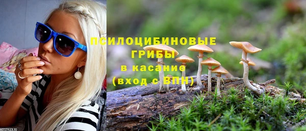твердый Алексин