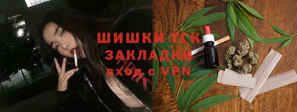 твердый Алексин